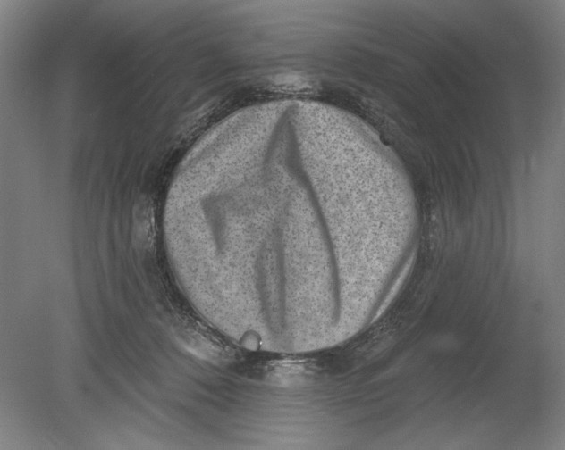 X0000080720320200701021101