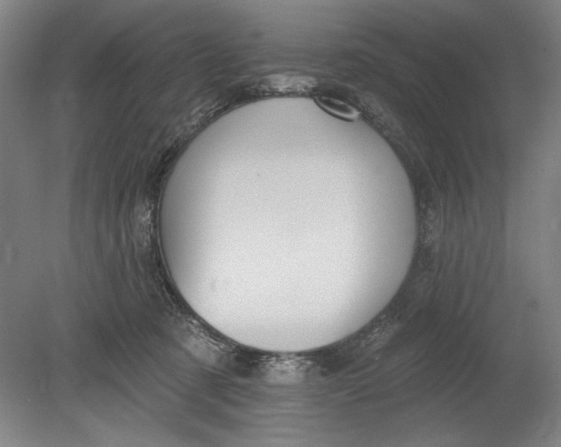 X0000080720321200701021101