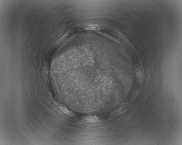 X0000080720322200701021101