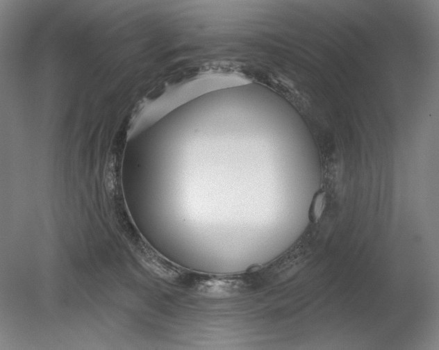 X0000080720323200701021101