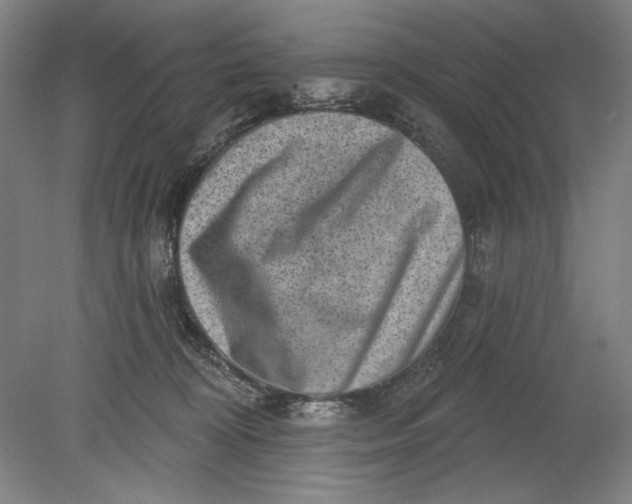 X0000080720324200701021101