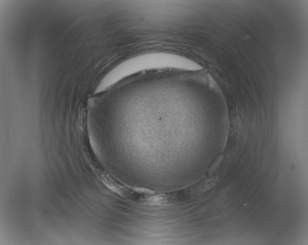 X0000080720325200701021101