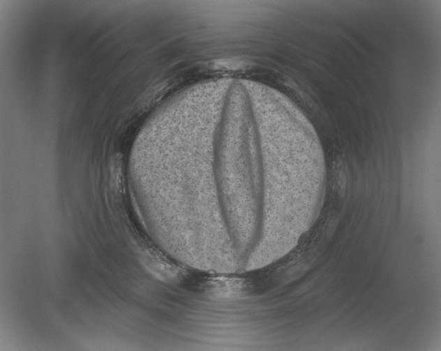 X0000080720328200701021101