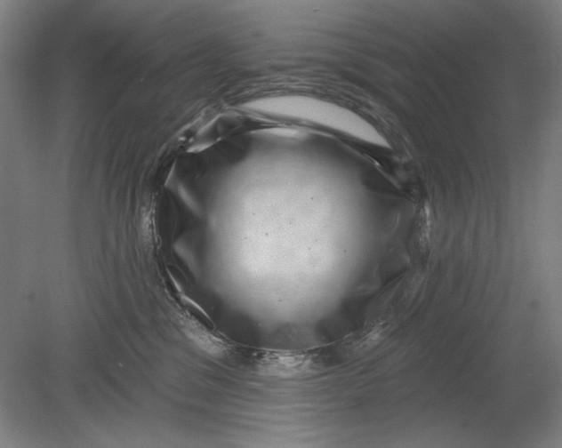 X0000080720329200701021101