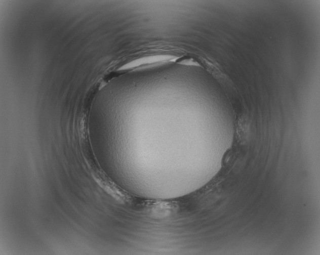 X0000080720330200701021101