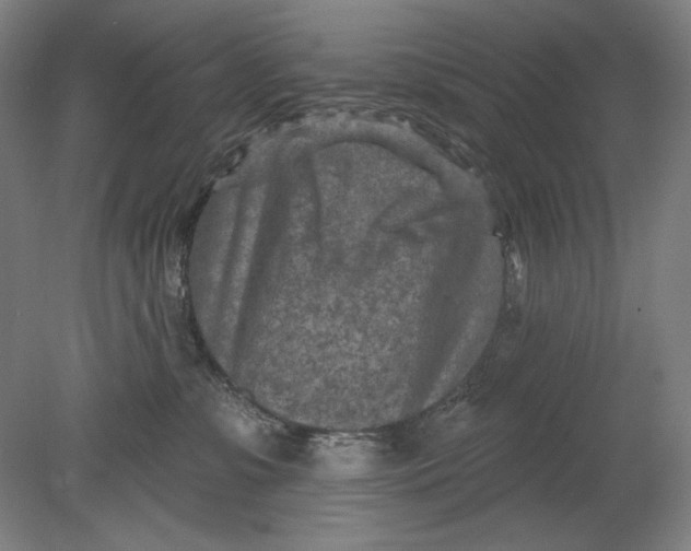 X0000080720331200701021101