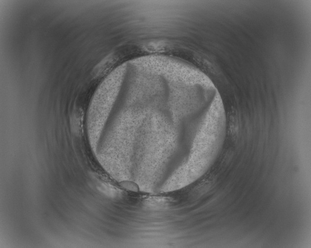 X0000080720332200701021101