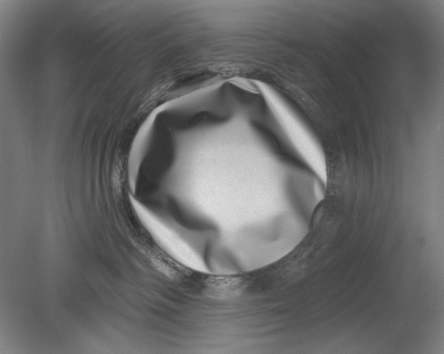 X0000080720334200701021100