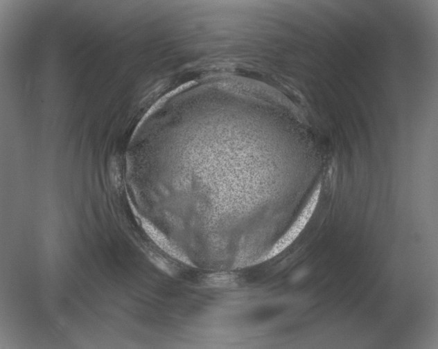 X0000080720335200701021100