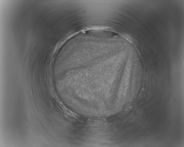 X0000080720337200701021100