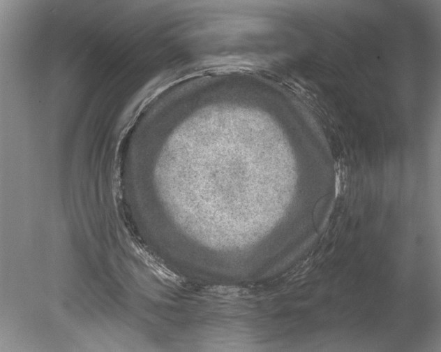 X0000080720339200701021100