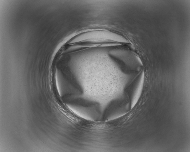 X0000080720342200701021100