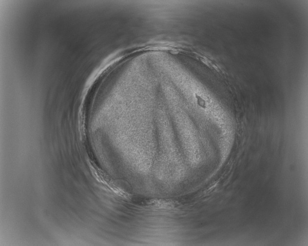 X0000080720343200701021100