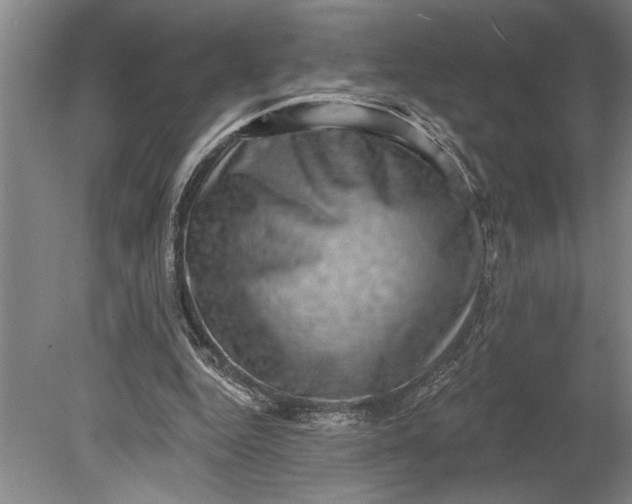 X0000080720344200701021100