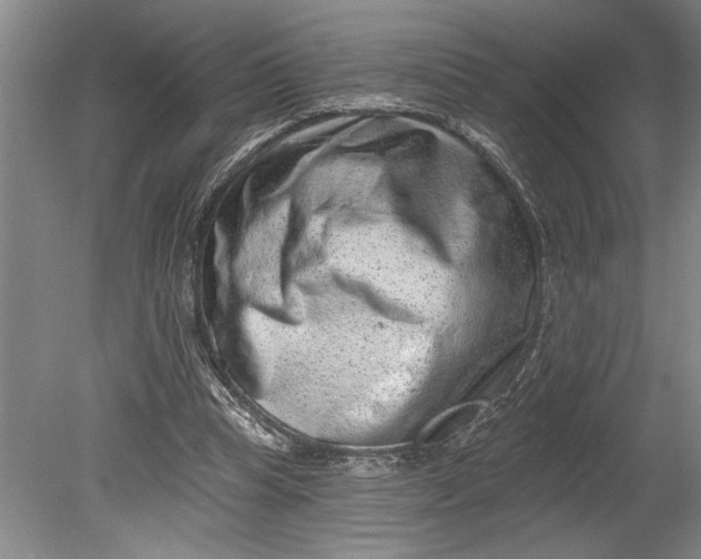 X0000080720345200701021100