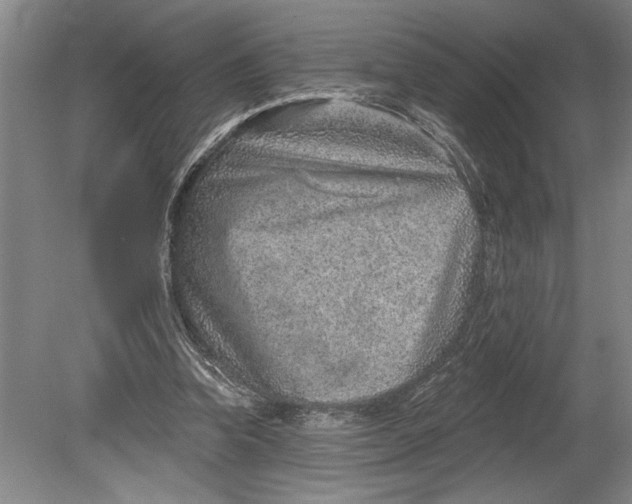 X0000080720346200701021100