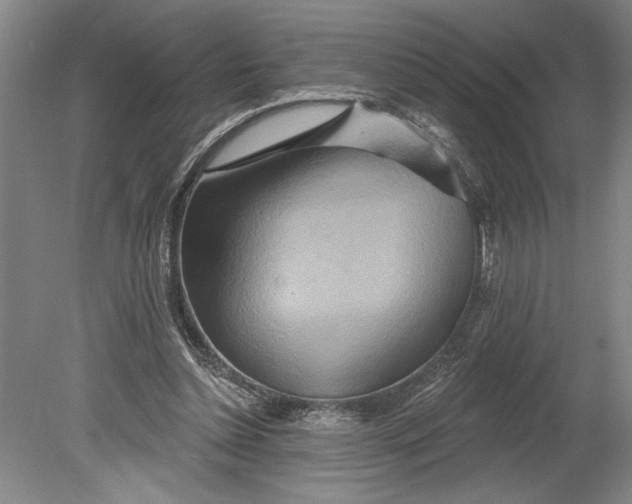 X0000080720348200701021100