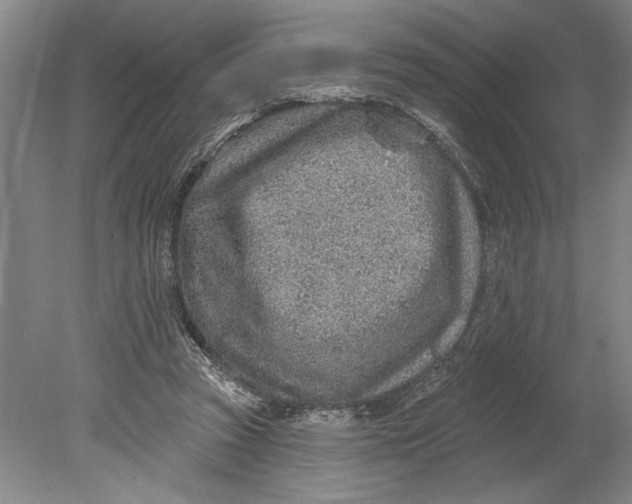 X0000080720353200701021100