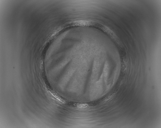 X0000080720355200701021100