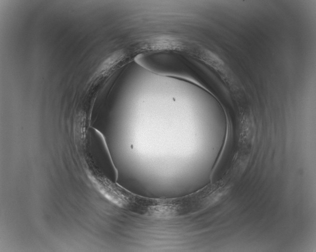 X0000080720356200701021100