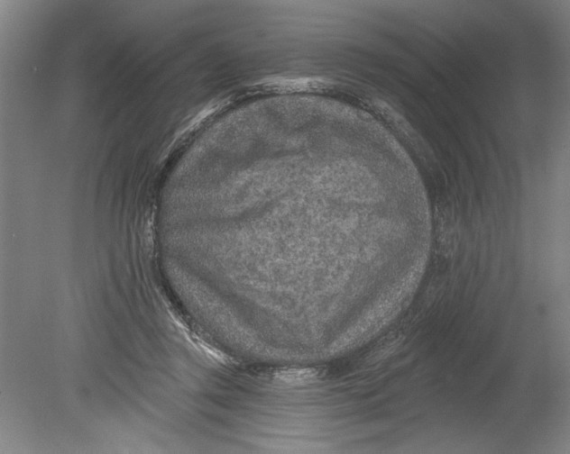 X0000080720357200701021100