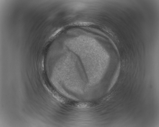 X0000080720358200701021100