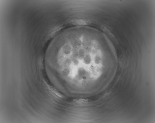 X0000080720359200701021100