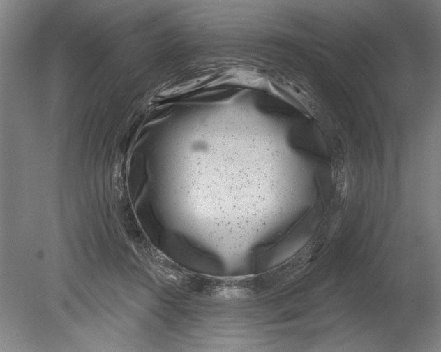 X0000080720360200701021100