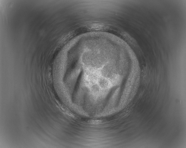 X0000080720361200701021100