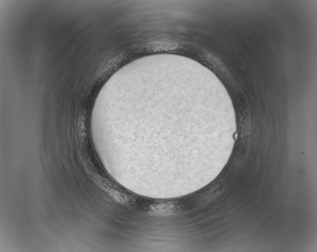 X0000080720362200701021100