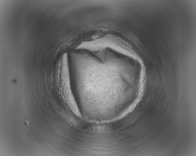 X0000080720365200701021100