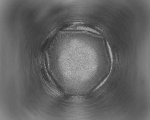 X0000080720367200701021100