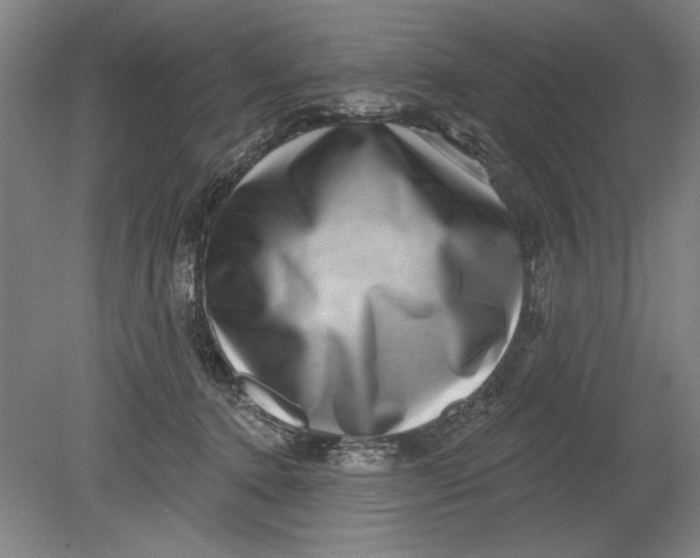 X0000080720368200701021100