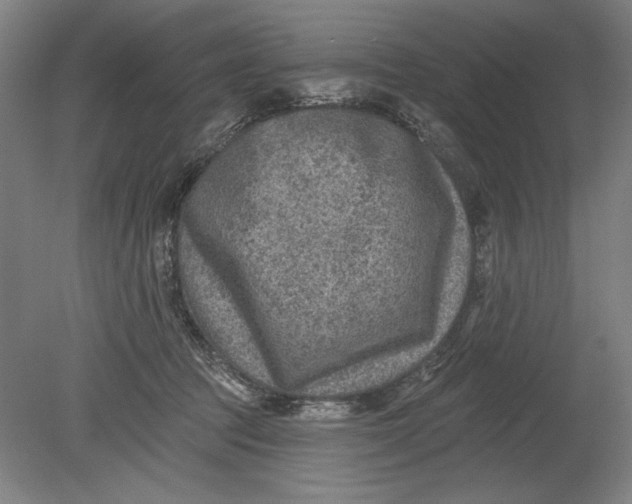 X0000080720369200701021100