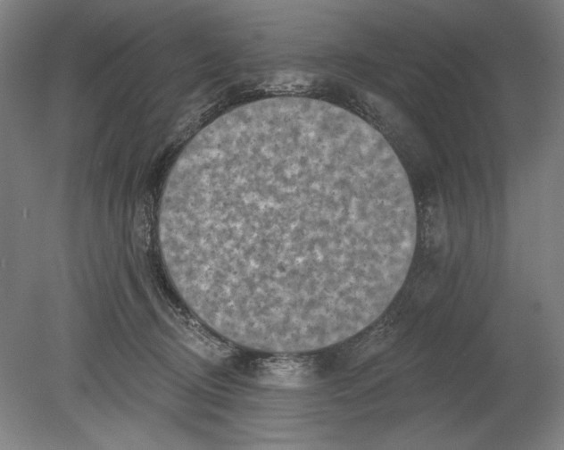 X0000080720370200701021100