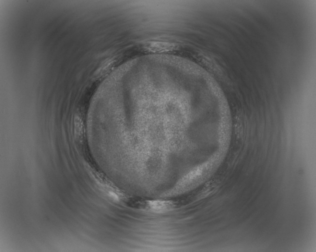 X0000080720371200701021100