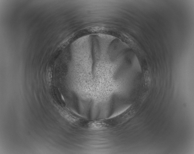 X0000080720372200701021100