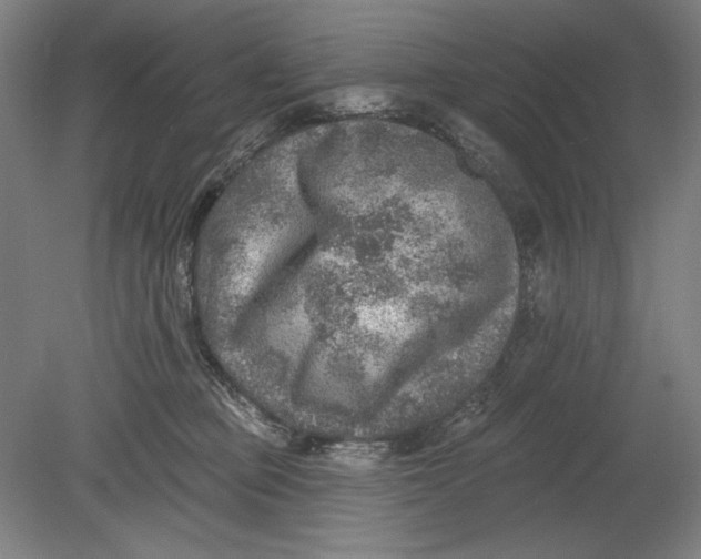 X0000080720373200701021100