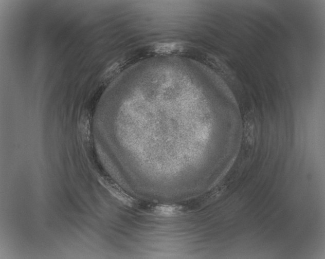 X0000080720375200701021100