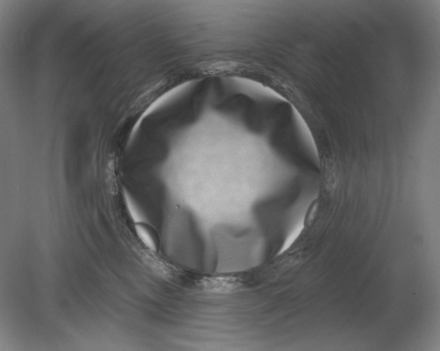 X0000080720378200701021100