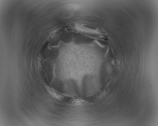 X0000080720379200701021100