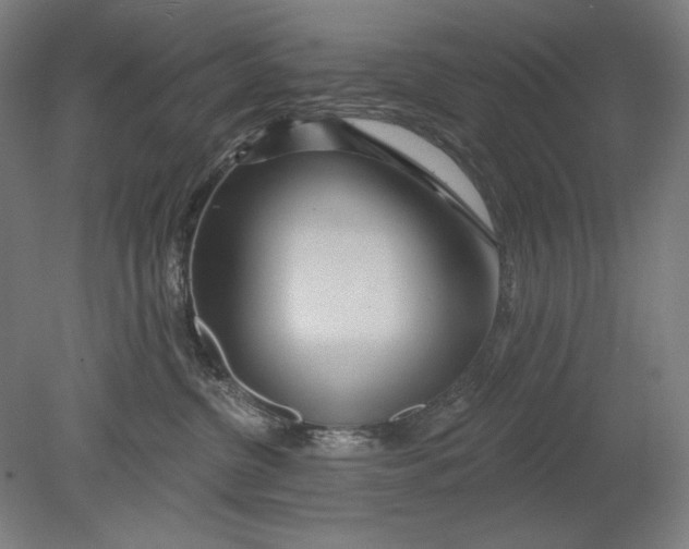 X0000080720380200701021100