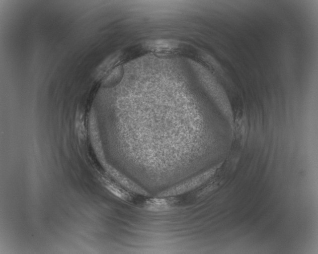 X0000080720381200701021100