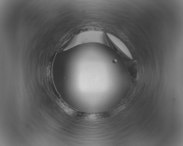 X0000080720382200701021100