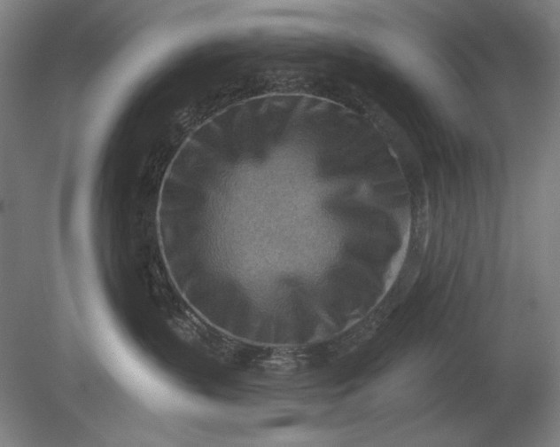 X0000080720383200701021100