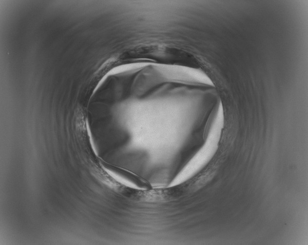 X0000080720384200701021100