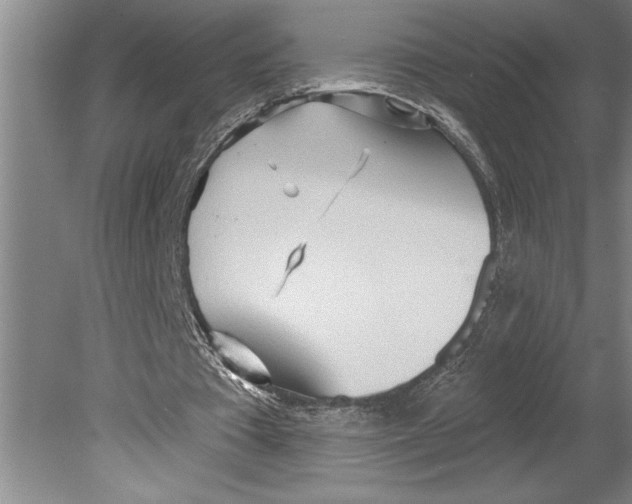 X0000080720385200701021100