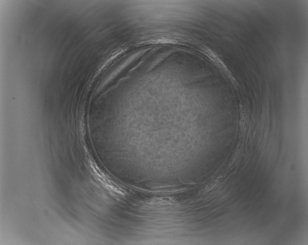 X0000080720386200701021100