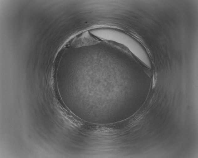 X0000080720387200701021100