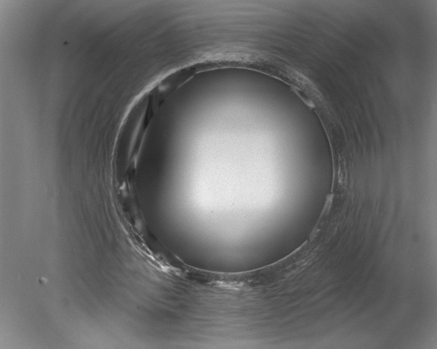 X0000080720388200701021100